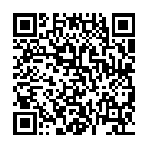 他狼狈地低头看着自己靴子上的泥沙和被海水溅湿的前摆二维码生成