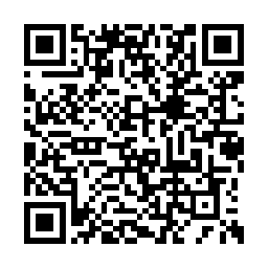 他狼狈得直骂娘……想想他回去后肿成了猪的嘴二维码生成