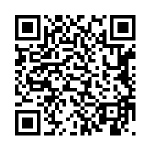他猛地将那一缕生生不息的木之意境二维码生成