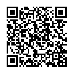 他猛然想到自己刚才一眼瞪死的那个人不过是筑基期二维码生成