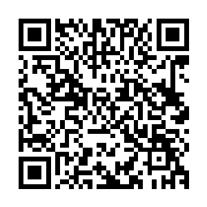 他猛然间想到自己曾经在散仙城的交易会中交换九阶妖丹的时候二维码生成