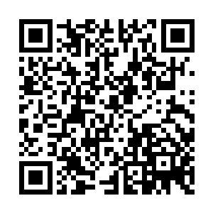 他猜测过这种狂化药剂的成功率绝对不可能很高二维码生成