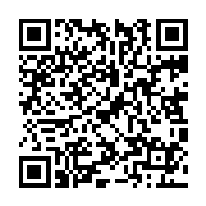 他猜测这次的任务才是给他们这些新入成员的考验二维码生成