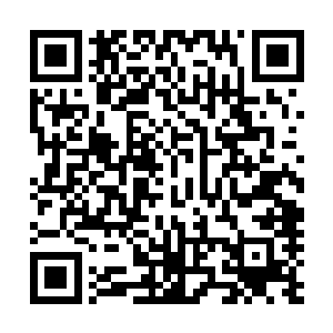他现在也是有些晕头转向明知是一个劲儿的想着陆飞扬摇头二维码生成