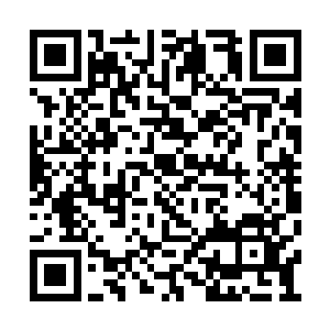 他现在也是真的没有什么好的办法让疯子老实了二维码生成