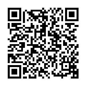 他现在双手手腕上还分别戴着足以压制他逃生技能的两个手镯呢二维码生成