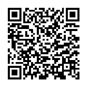 他现在只希望李光洙被gary淘汰前孔孝真可以淘汰掉池石镇二维码生成