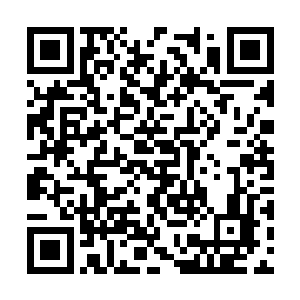 他现在只是为了配合蔚家完成任务得到光元果而已二维码生成