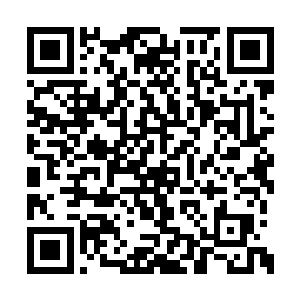 他现在可是知道所谓的法则有多么的难以领悟了二维码生成
