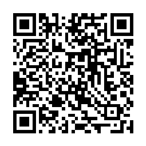 他现在哪里还能想的起来苏凡之前说过不会杀他的话二维码生成