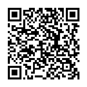 他现在唯一能想到的就是特蕾西那陷入疯狂状态的表情二维码生成