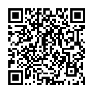 他现在已经完全不顾下面的人是自己的人还是对面的人了二维码生成