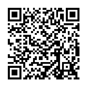他现在当得起神域神海期年轻俊杰第一人的称号二维码生成
