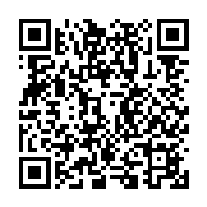 他现在明白了那血族荣耀侯爵为什么会跑得那么快二维码生成