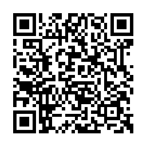 他现在最重要的就是要处理好珍妮弗的手术一样二维码生成