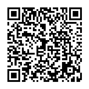 他现在有点后悔这五年中没有好好炼制几件具有特殊能力的骨宝武器出来二维码生成