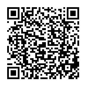他现在每一次看到她装作懦弱的样子都会想起她那日在医院说豪言壮语的样子二维码生成