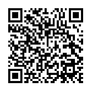他现在的修炼速度绝对不比城内几大顶级天才子弟差太远二维码生成