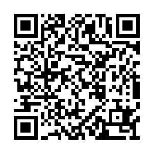 他现在还拿不住孙震的表现究竞是出于何种原因二维码生成