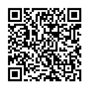 他现在还记得夏天当初带人去救他的情形是什么样的二维码生成