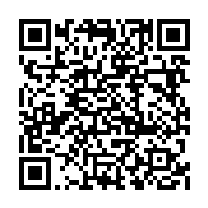 他现龙英杰和郝氏兄弟所修炼的功法都十分奇特二维码生成