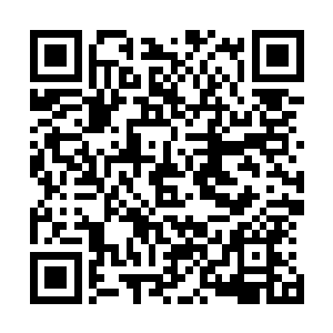 他甚至会失去这三十四株已经达到七阶巅峰境界的噬血妖藤二维码生成