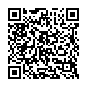 他甚至可以感觉到自己手心渗透出来的温热汗水二维码生成