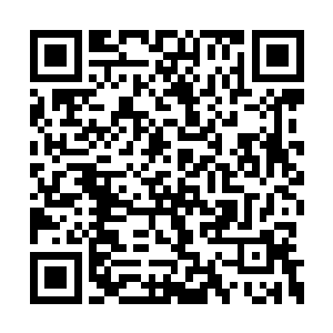 他甚至客气地对剩下的数百名倭奴尸兄点了点头二维码生成