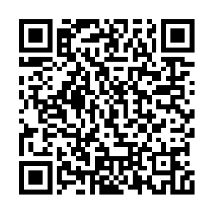 他甚至怀疑自家少爷会彻底控制不住自己而发狂二维码生成