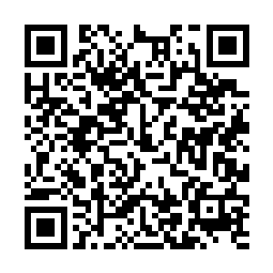 他甚至怀疑这座城本身就是一个攻防一体的巨大骨器二维码生成