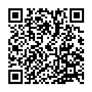 他甚至把家族中的各项事务的决定权都放手给他二维码生成