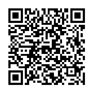 他甚至沒有发现宾利正在用不怀好意的眼神看着他二维码生成