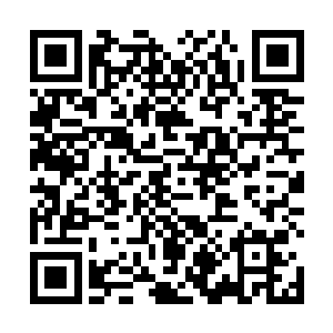 他甚至看见了自己的军队在那面斜坡上挣扎迟缓的前进二维码生成