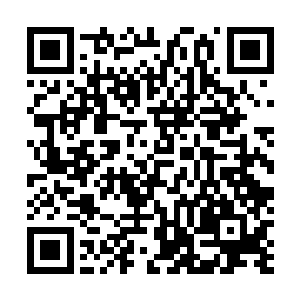 他甚至要在极短的时间内清楚记得上万种药材的放下顺序二维码生成