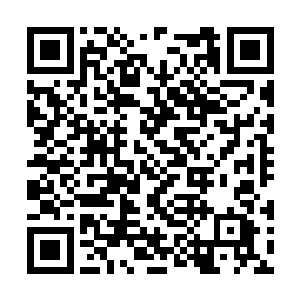 他甚至觉得自己看到了从没有见过的……光头少年二维码生成