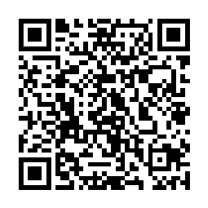 他甚至认为自己有点配不上夏天给自己的那些仙石了二维码生成