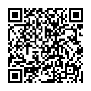 他甚至还发现了自己内心那种隐隐的对于雷欢喜的畏惧二维码生成