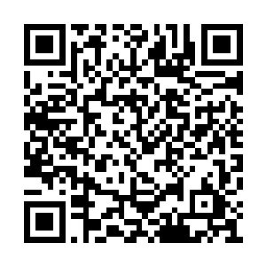 他甚至还来不及反应便被狠狠地砸在了虫群之中二维码生成