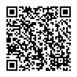 他甚至还能看见一只雄峻的大公鸡像老鹰一样的在空中扑腾着翅膀二维码生成