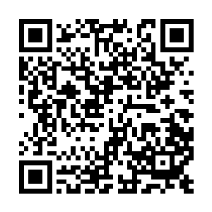 他甚至迫不及待的就想向增长天王提出一大堆问题二维码生成