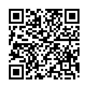 他用一双漂亮纯粹的眼睛瞅着蛋圆圆二维码生成