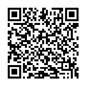 他用两只头把压在自己胸膛下的大鱼给逮了出來二维码生成