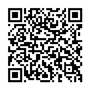 他用他的勇气应对犯罪帝国所统治着的街道并拯救了我们的城市二维码生成