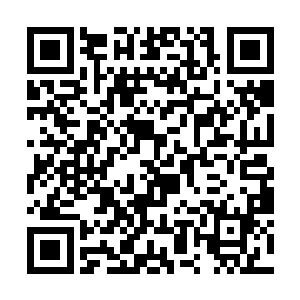 他用他自己的方式将前世的生活区域完整地搬了过来二维码生成