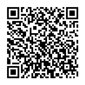 他用剑姬打上单除了比较害怕小学生之手等少数几个天克剑姬的英雄以外二维码生成