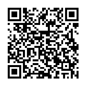 他用引擎看到了之前世界里一部极其专业的学术著作二维码生成