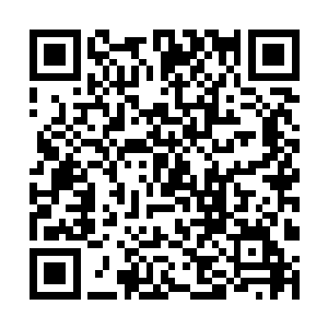 他用袖子里的手指头点了点屋里屋外堆积如山的聘礼二维码生成