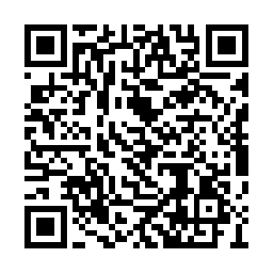 他留下了一半的人手以及八名无极境护法在这里二维码生成