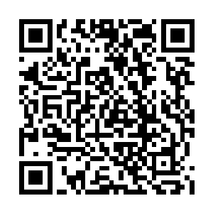 他的上一个对上就是因为没有全力战斗而失败的二维码生成