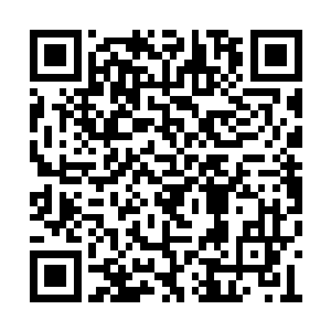 他的专业水平的确不如皮克王国皇家医院的医生二维码生成